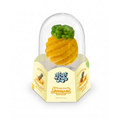 Frost Lab Frozen Dairy Dessert Pineapple Flavor